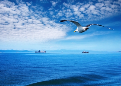 HELMEPA at the forefront of shipping decarbonization
